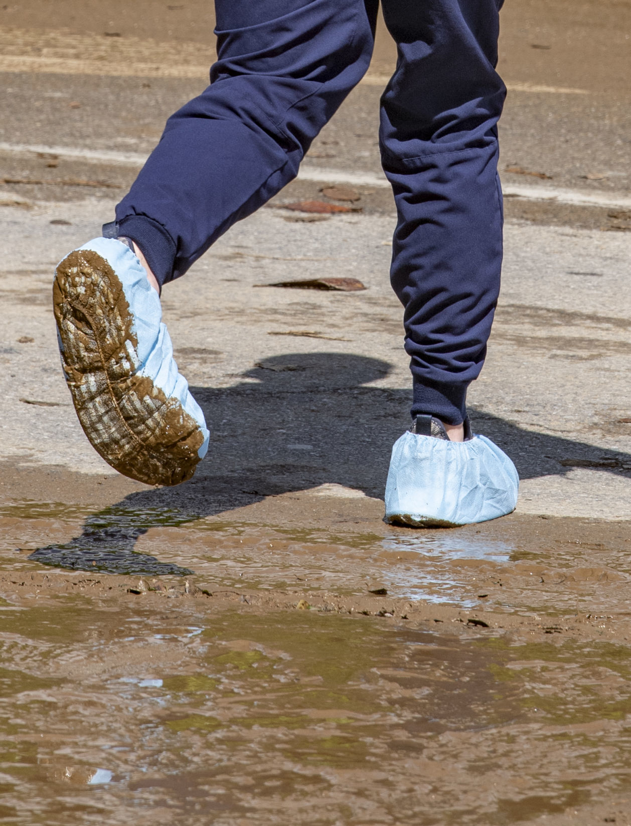 dp_clean up_05222001